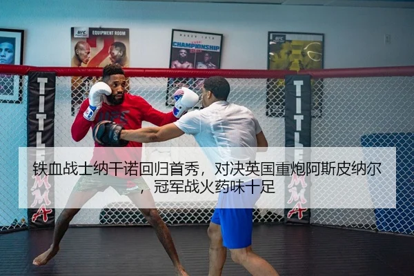 tie-xue-zhan-shi-na-gan-nuo-hui-gui-shou-xiu-dui-jue-ying-guo-zhong-pao-a-si-pi-na-er-guan-jun-zhan-huo-yao-wei-shi-zu-2-244.jpg