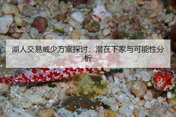 湖人交易威少方案探讨：潜在下家与可能性分析