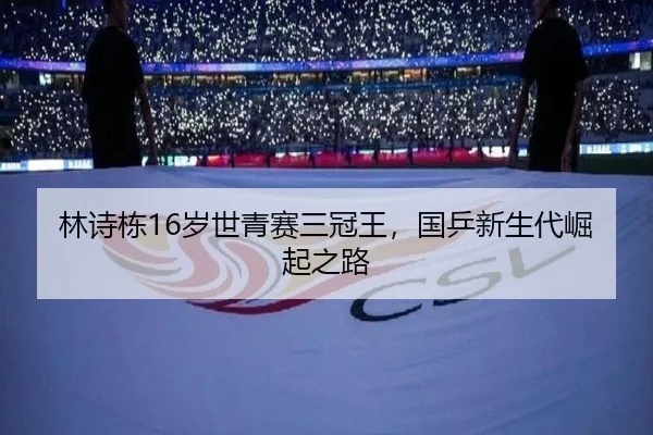 lin-shi-dong-sui-shi-qing-sai-san-guan-wang-guo-ping-xin-sheng-dai-jue-qi-zhi-lu-3-267.jpg