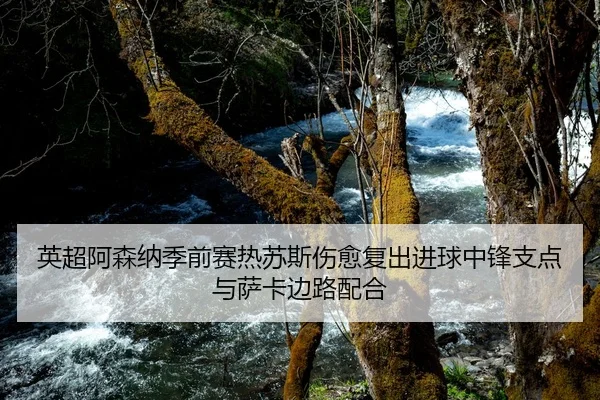 英超阿森纳季前赛热苏斯伤愈复出进球中锋支点与萨卡边路配合